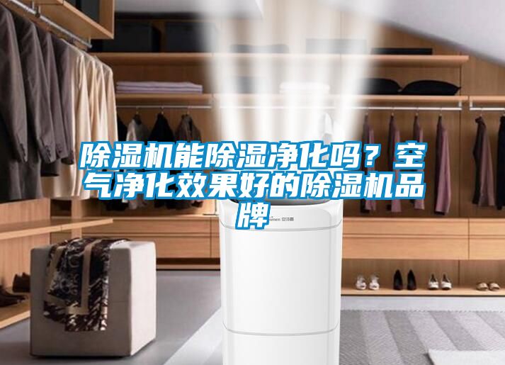 除濕機能除濕凈化嗎？空氣凈化效果好的除濕機品牌