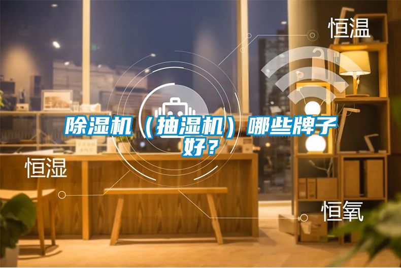 除濕機（抽濕機）哪些牌子好？