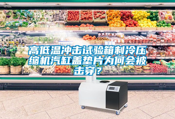 高低溫沖擊試驗箱制冷壓縮機汽缸蓋墊片為何會被擊穿？