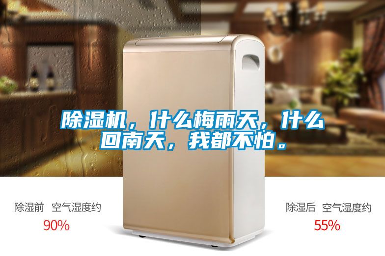 除濕機，什么梅雨天，什么回南天，我都不怕。
