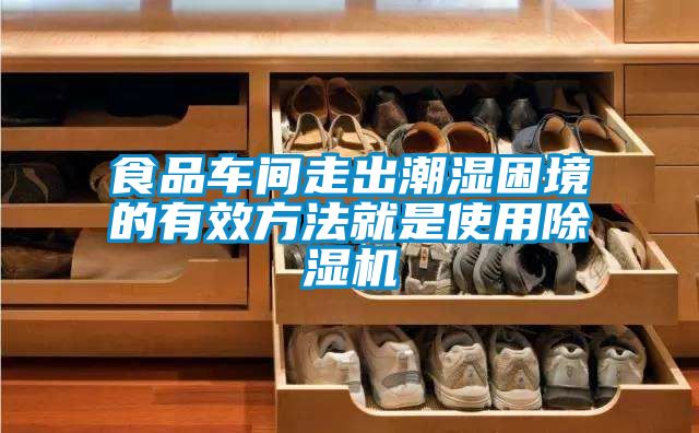 食品車間走出潮濕困境的有效方法就是使用除濕機