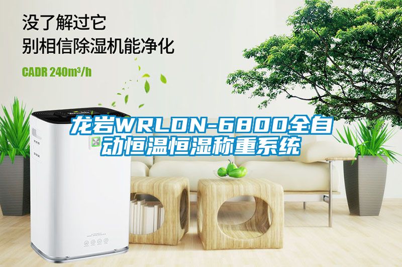 龍巖WRLDN-6800全自動恒溫恒濕稱重系統